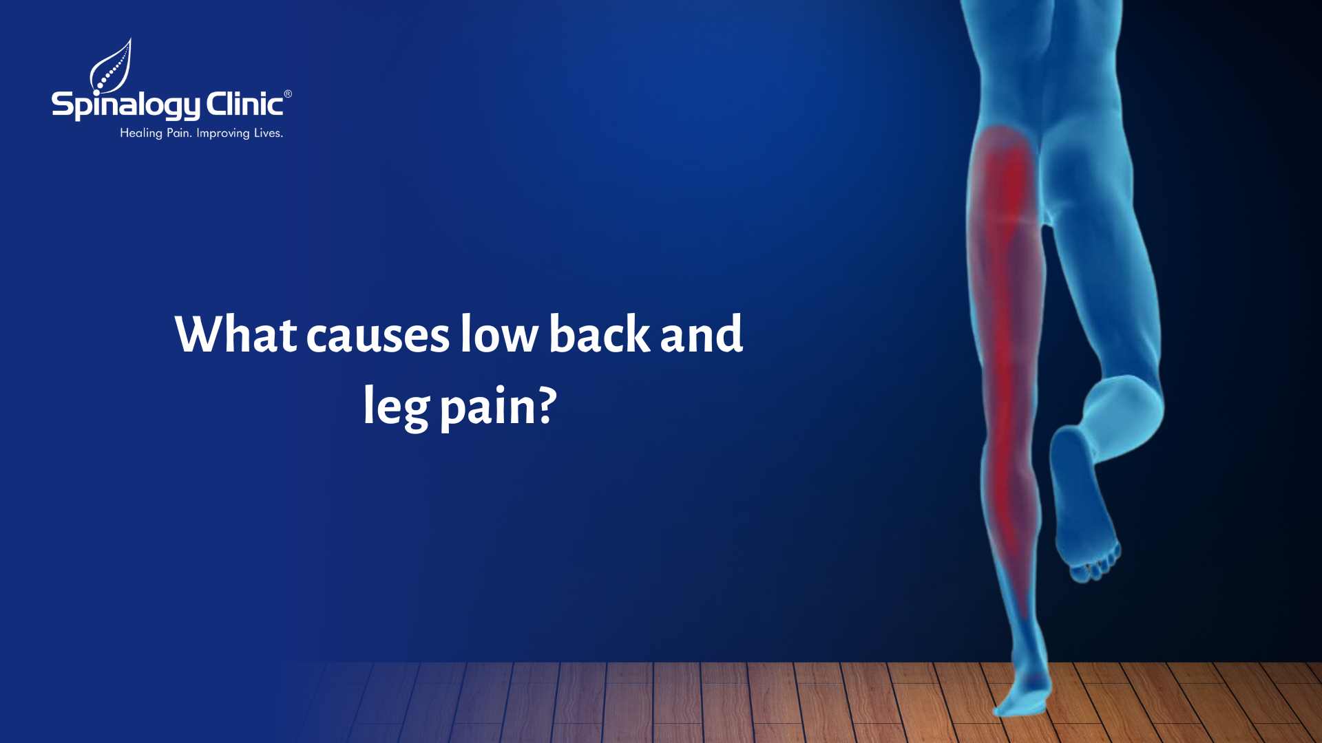 What Causes Low Back And Leg Pain Spinalogy Blogs Best Back Pain 